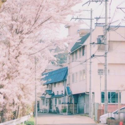 伊朗已正式回应美国提出的停火协议15点内容